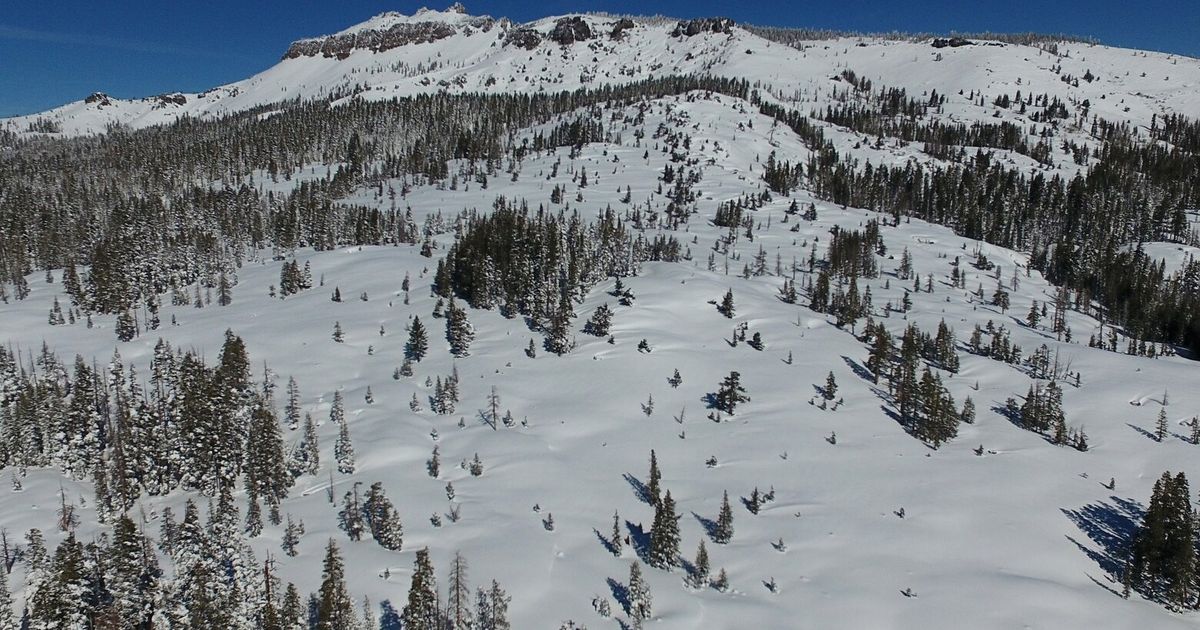 Backcountry guide company faces $150K in fines after California’s deadliest modern avalanche