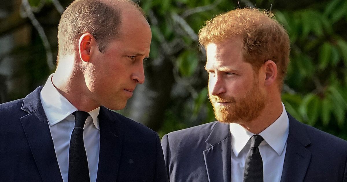 A question looms over Harry’s return to the UK. Can he rebuild his relationship with Prince William?