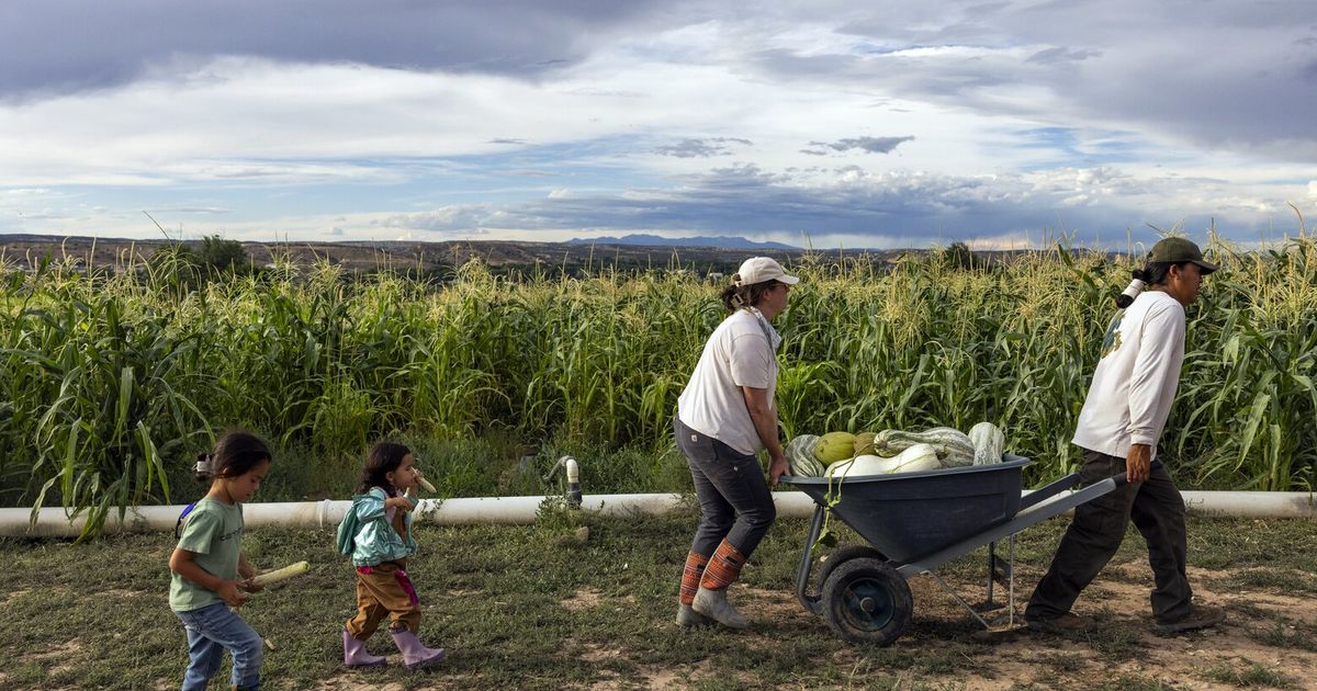 Farmers Struggle to Get Basic Services From Depleted Agriculture Dept.