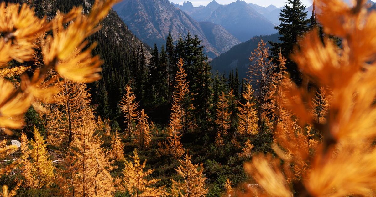 Lift Roadless Rule, give Forest Service flexibility in fire prevention