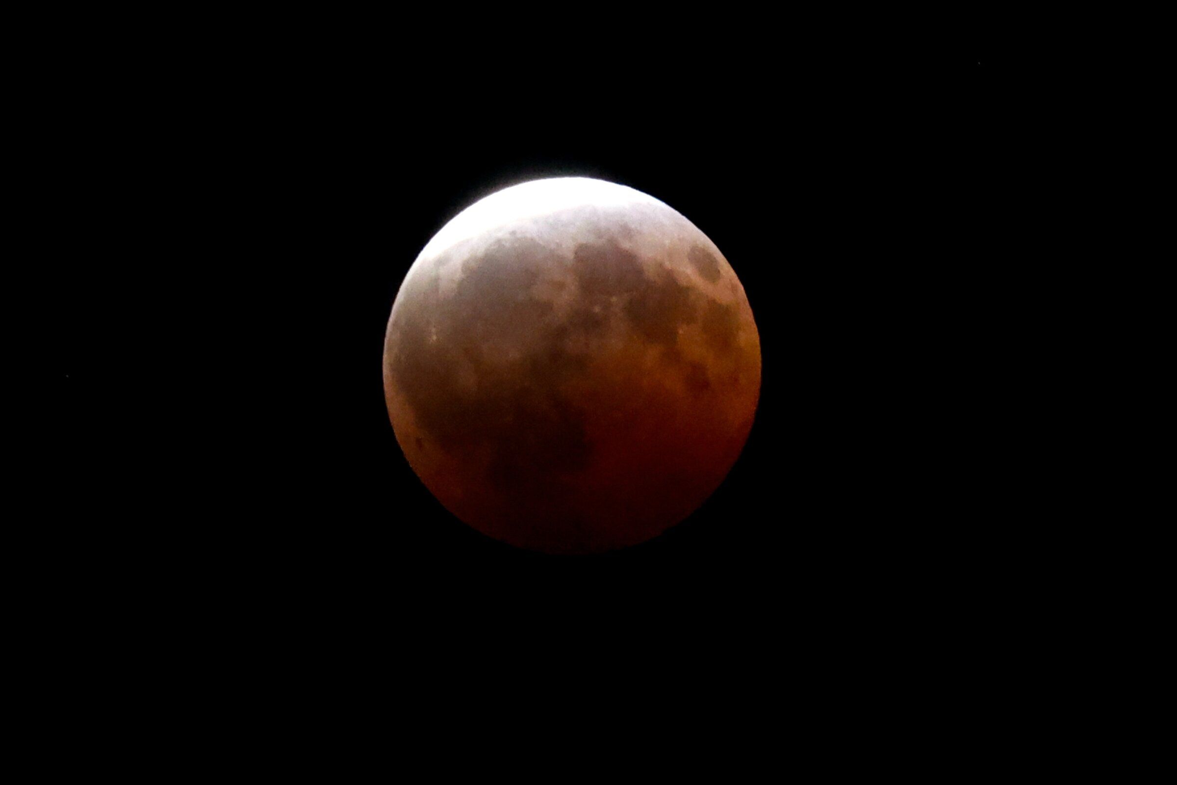 The moon in a partial eclipse seen from Lake Forest Park  on Thursday. (Karen Ducey / Seattle Times)