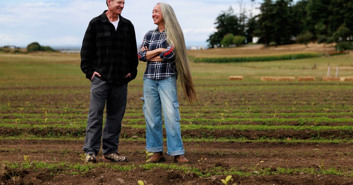 WA envisioned as Napa Valley of tea, with new large matcha farm