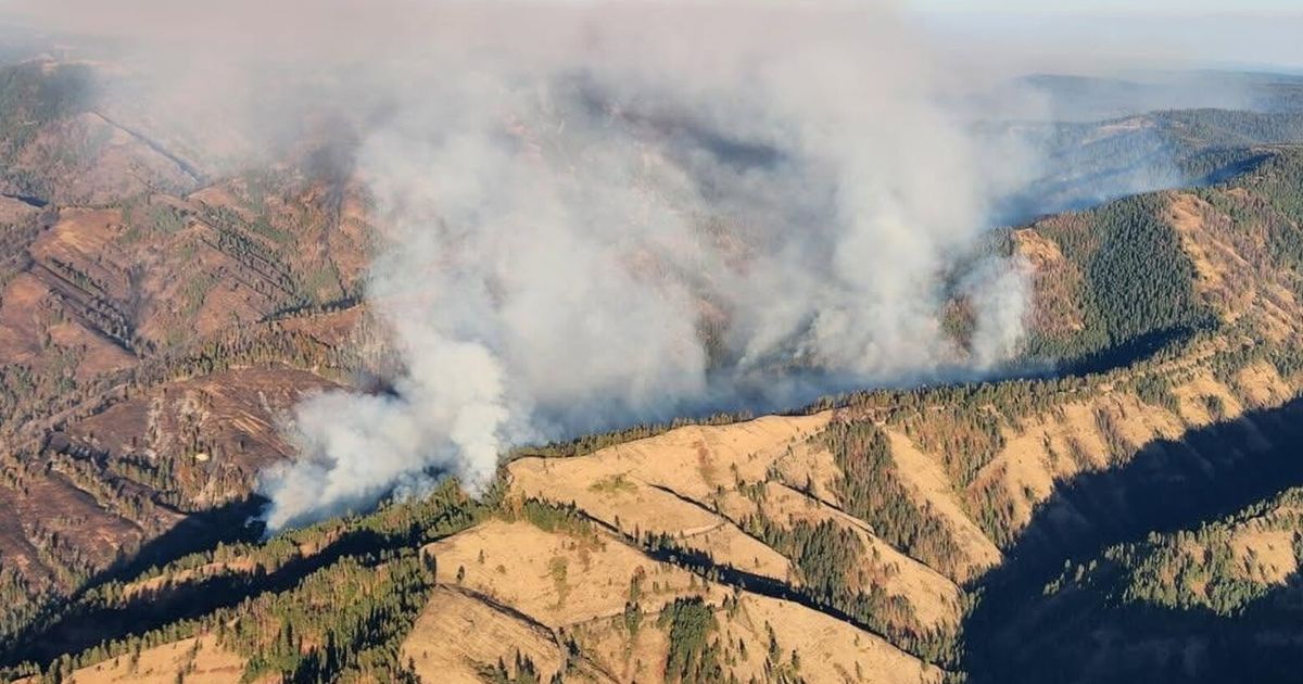 WA declares emergency over Walla Walla drinking water threatened by fire