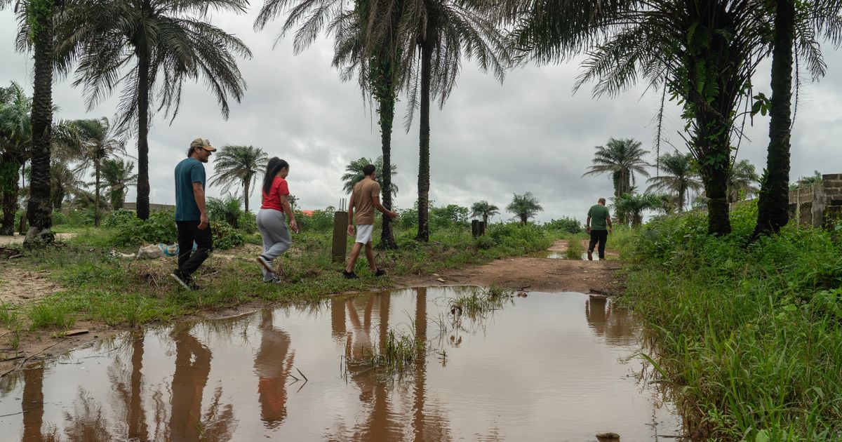 Deportees recount harrowing journeys to Africa: Shackles, a ‘freezer’ and blows