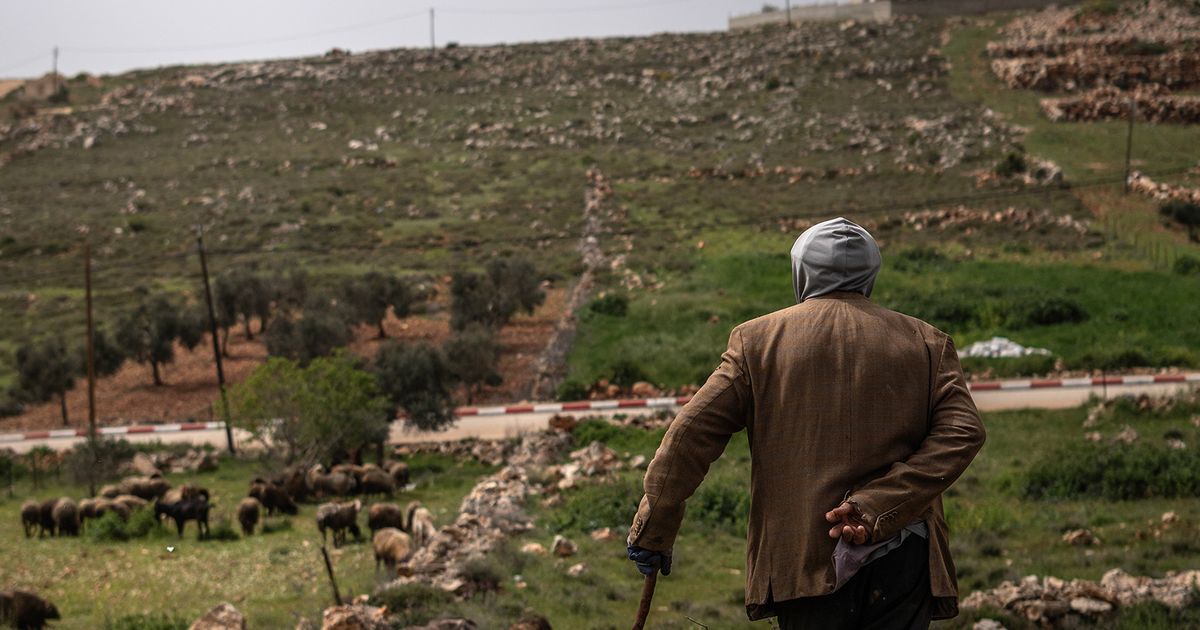 Israeli settlers are out of control. Could an election change that?