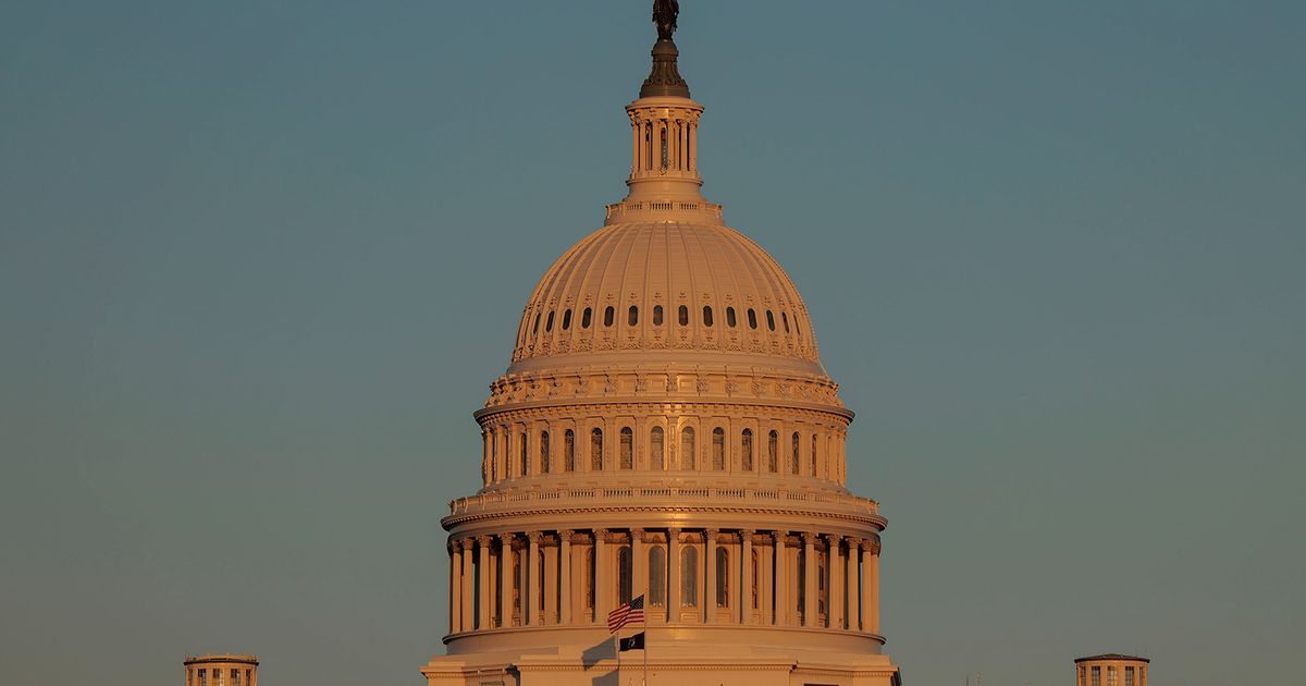 Empty pews, regulatory zoos and populist views