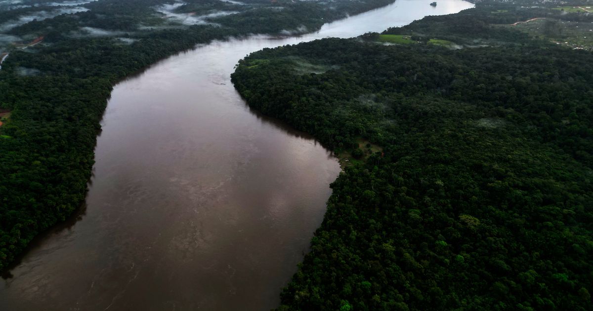 Key Amazon cases reach Brazil’s Supreme Court following Lula’s defeats in Congress