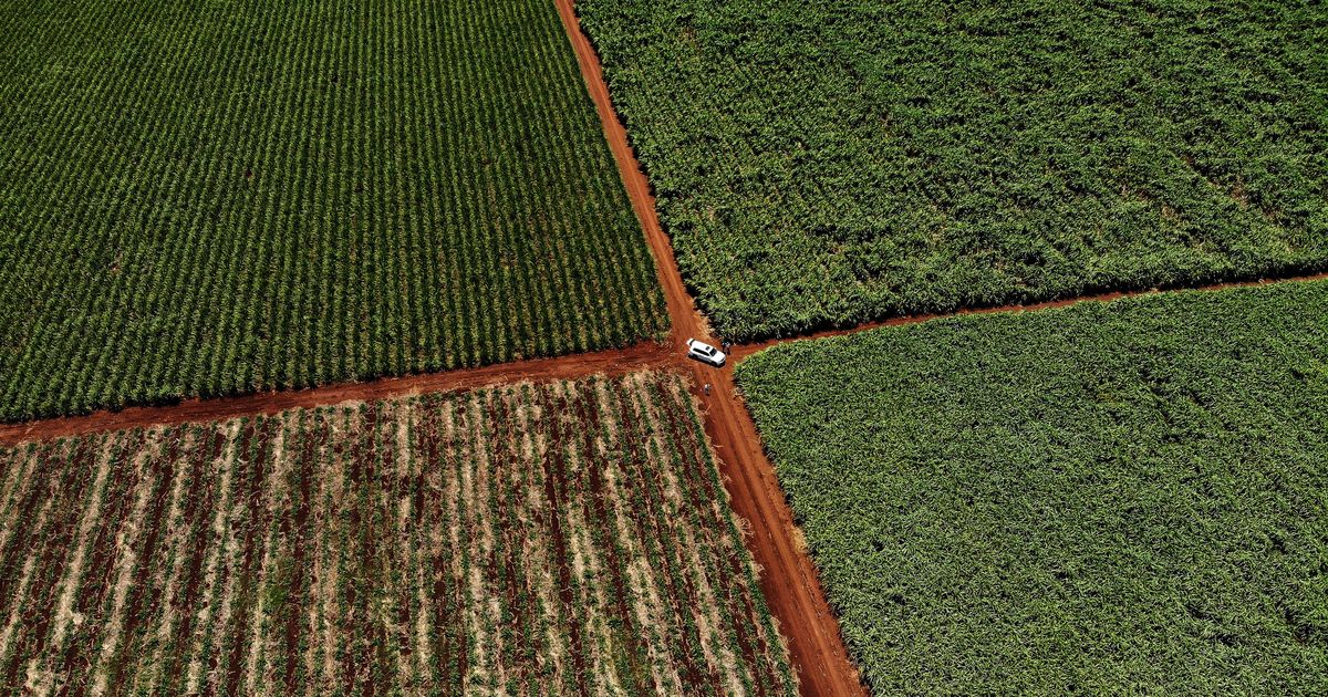 Court fight begins over South Africa’s land law that irks the Trump administration