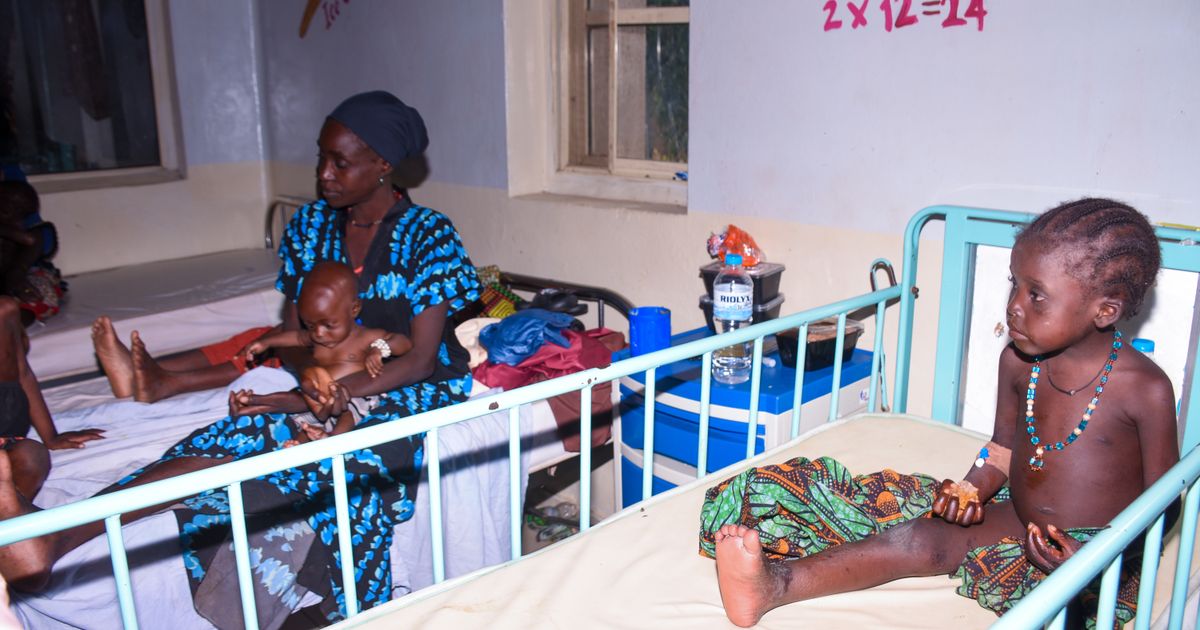 ‘We saw death and suffering’: Dozens of Nigerians freed after 6 months in jihadi captivity
