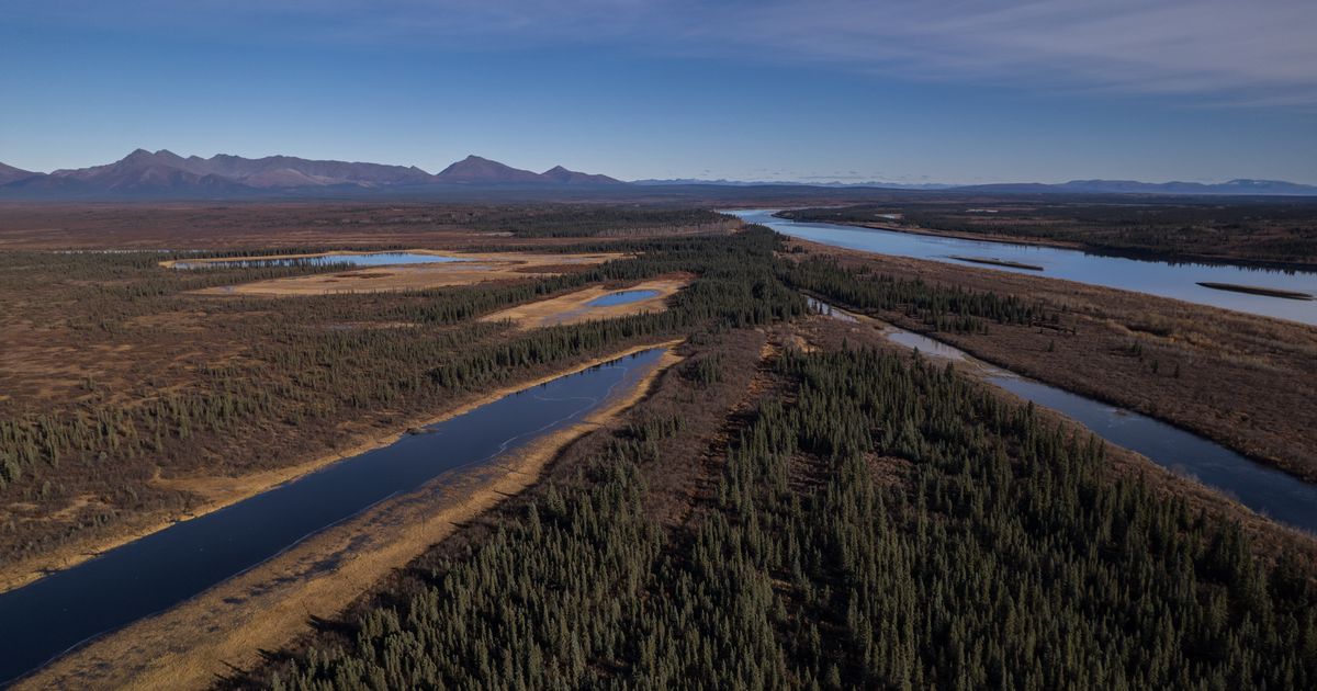 A lush knee-high jungle grows in the Arctic, but warming is changing Earth’s mini-greenhouse