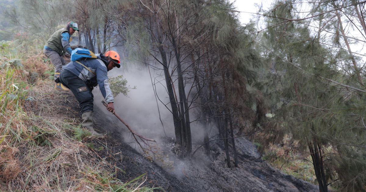 Wildfire at Indonesia’s Mount Bromo mostly contained as smoke forces school closures