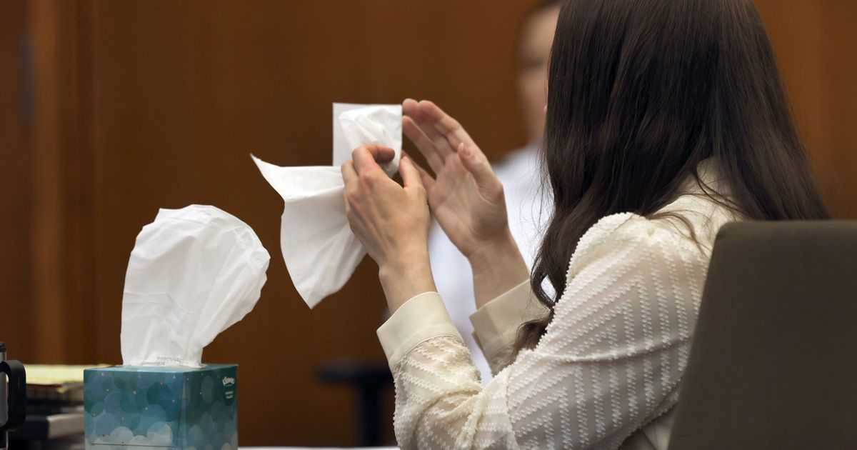 Former Clancy nanny testifies about mother's mental health issues before killings - image 2