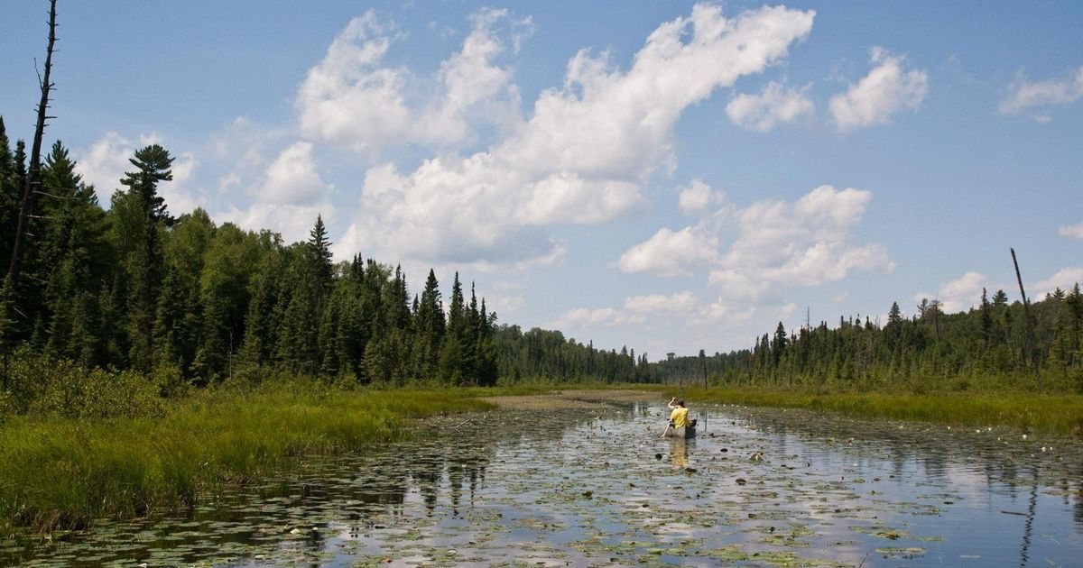 Walz officially brings Boundary Waters mining fight to the state level