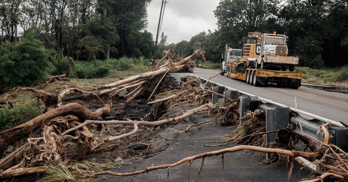 Hawaii crews work to restore power to thousands after Lala outages - image 2