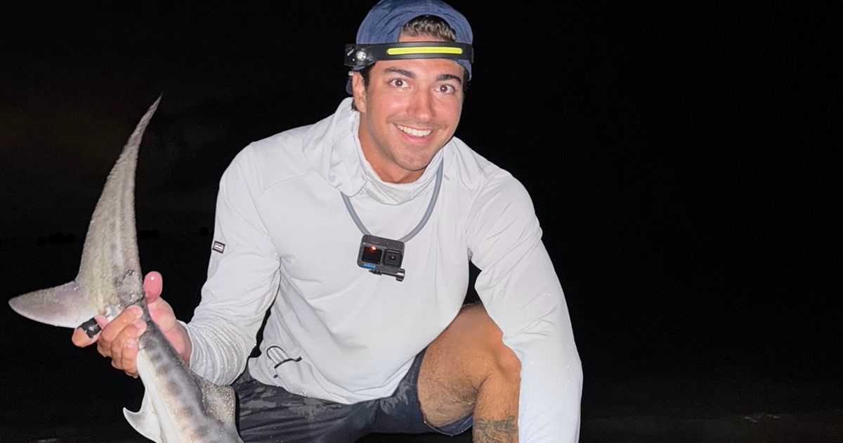 Tropical shark caught off Massachusetts could be sign of warming waters
