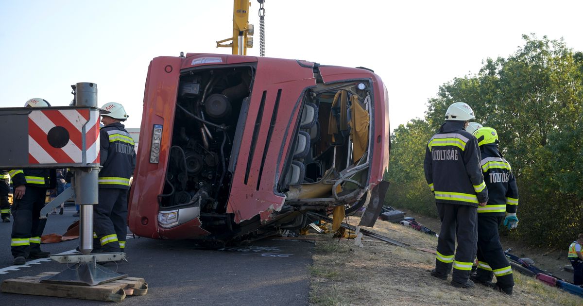 Twelve killed as Polish bus veers off Hungarian motorway - image 2