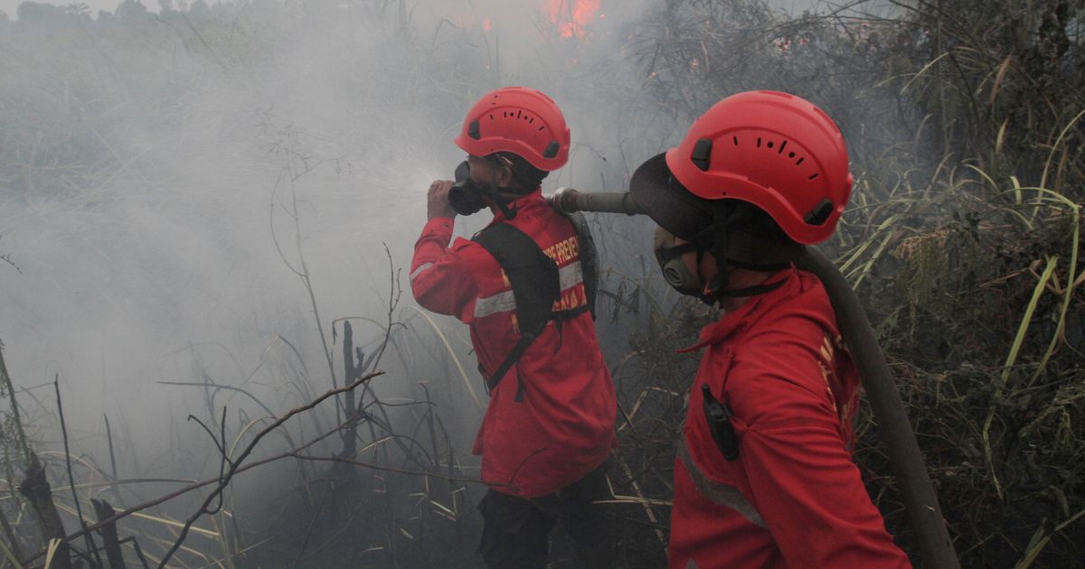 Muslims gather for rain prayers in Indonesia's wildfire-hit South Sumatra
