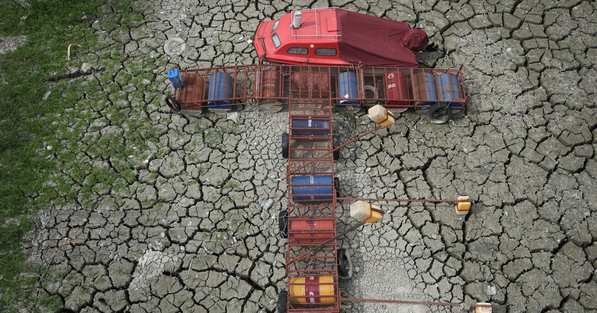 Europe’s summer drought threatens fish in rivers, lakes and farms