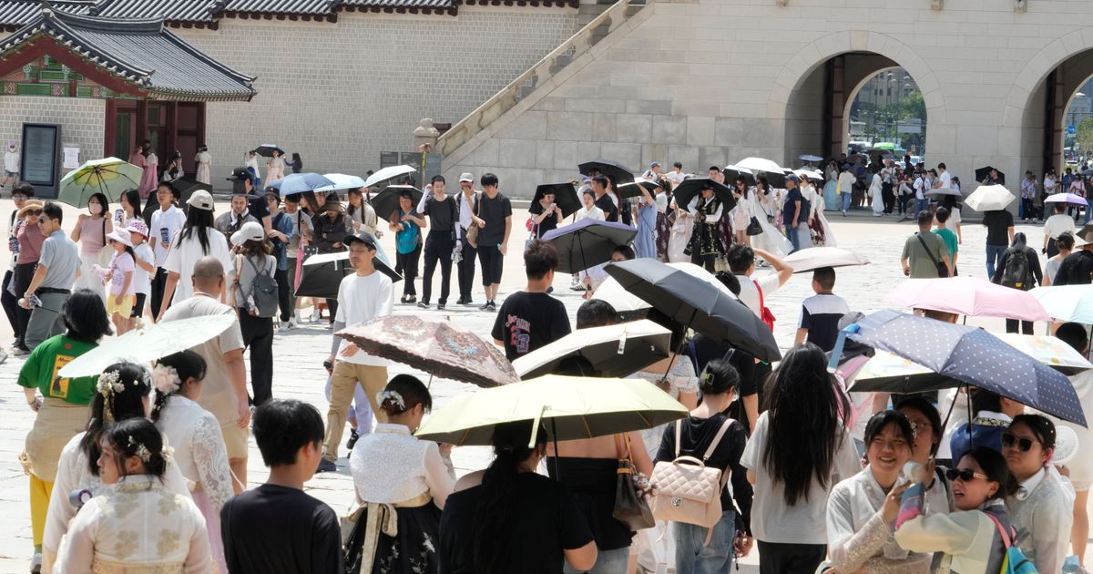 Record heatwave in South Korea as temperatures soar to 42.5C - image 2
