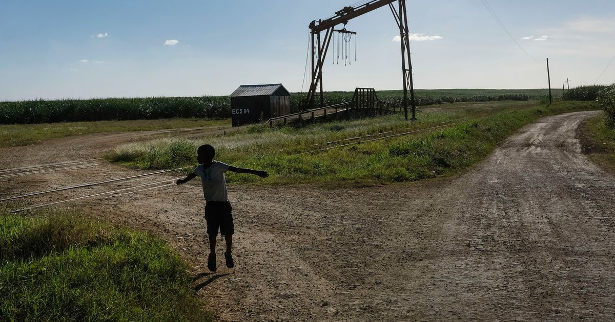 Watchdog calls for US import ban as forced labor persists in Dominican sugarcane fields