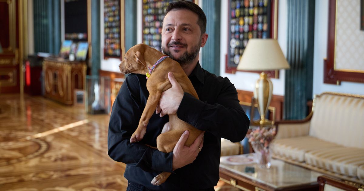 Ukraine’s president coos over a puppy, starting a new volley in his war of visuals against Russia
