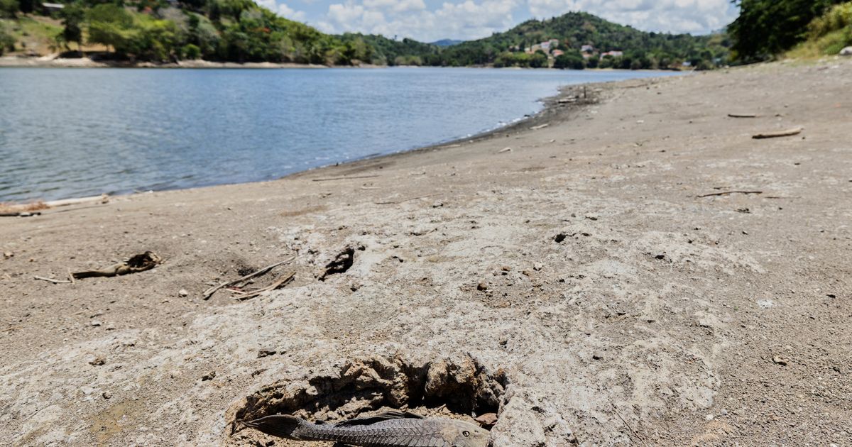 US declares drought disaster for parts of Puerto Rico