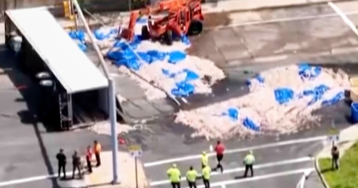 WATCH:  Over 20 tons of squid spill onto Rhode Island road blocking traffic for 8 hours - image 2