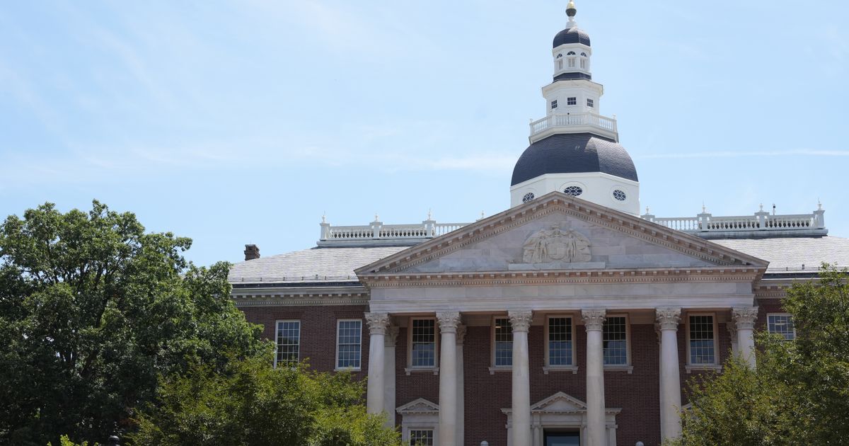 Maryland court rules Democratic-backed redistricting amendment cannot go on November ballot