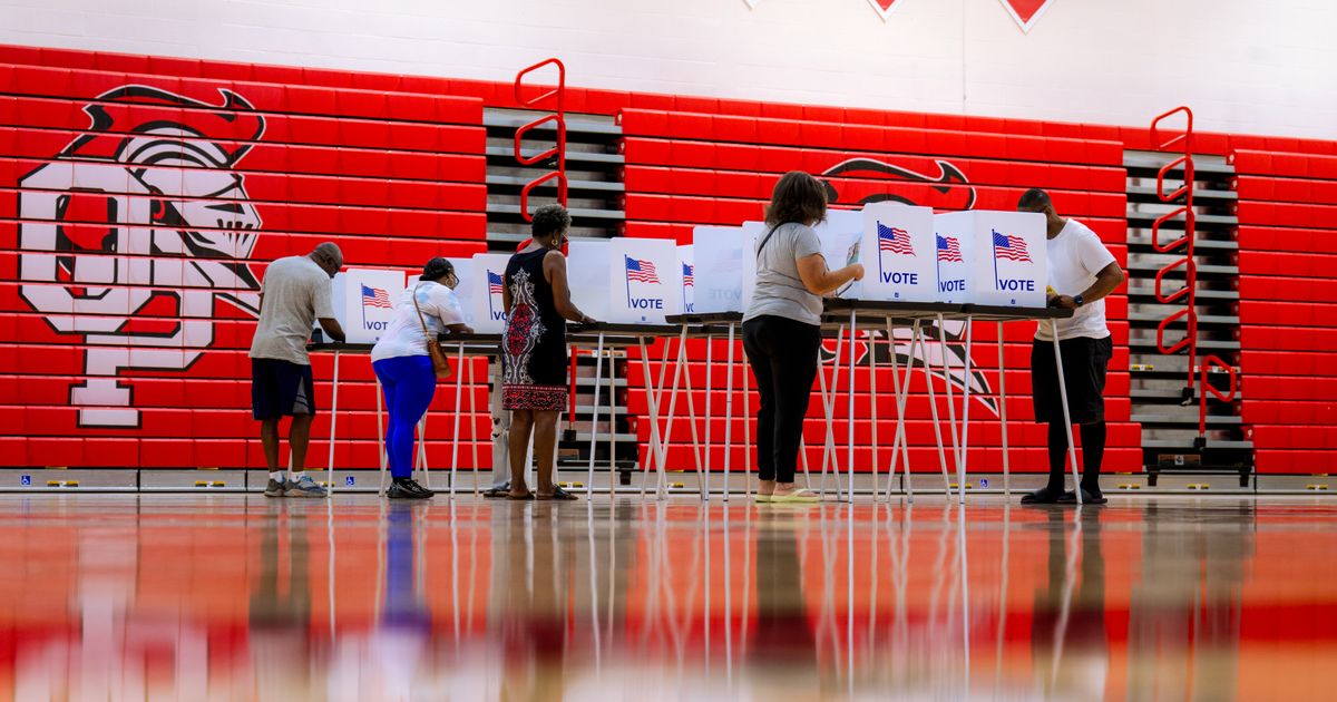 Abdul El-Sayed Wins Democratic Senate Primary in Michigan in a Victory for the Left - image 7