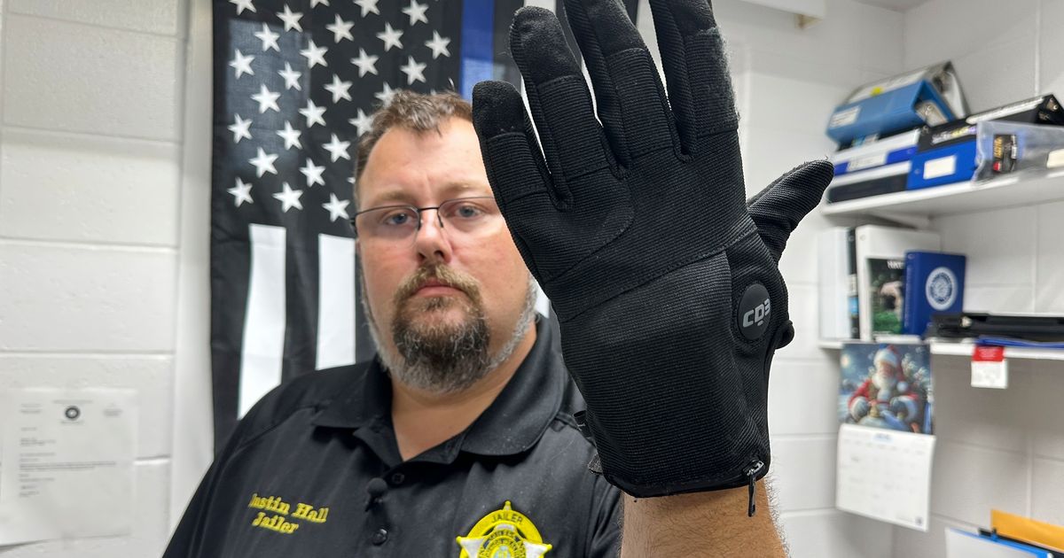 Homan defends ICE electric shock gloves as alternative to lethal force - image 1