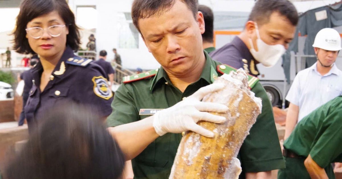 Authorities in Vietnam discover more than a ton of concealed ivory illegally shipped from Africa