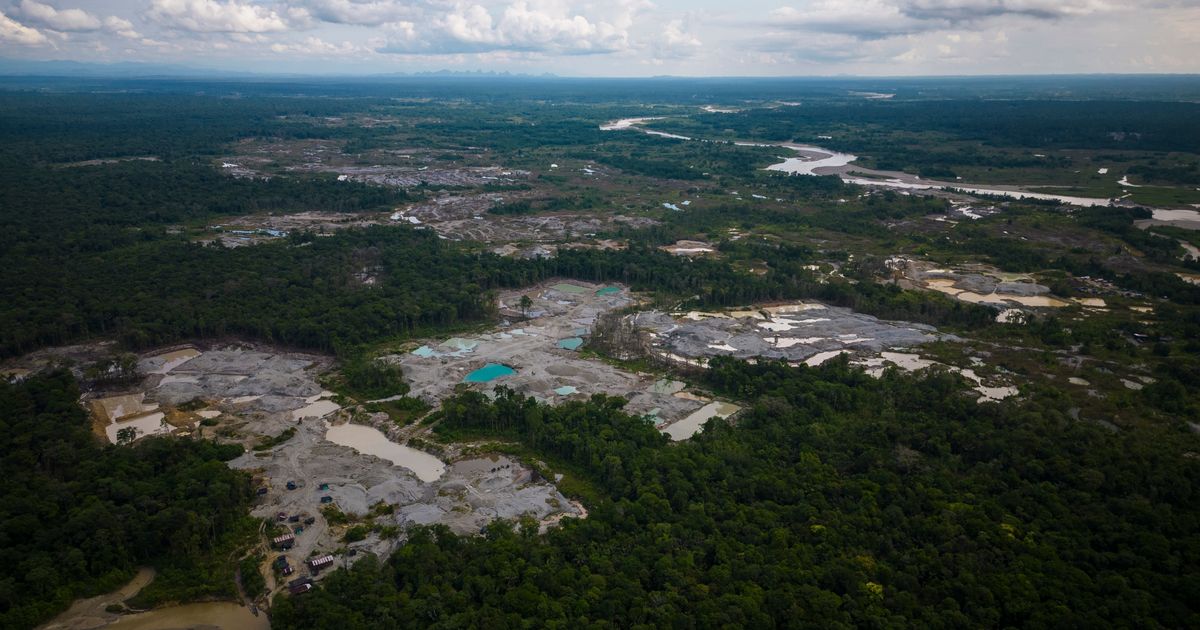 Five Amazon countries arrest hundreds in major crackdown on environmental crime