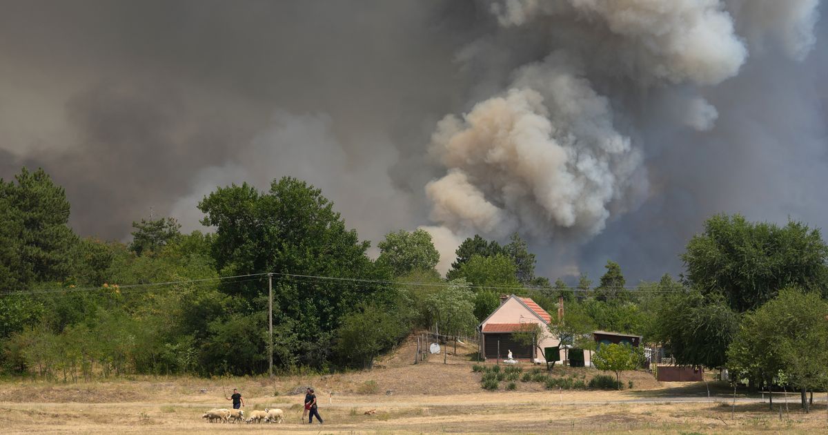 Serbia races to contain wildfires as Europe’s blistering heat wave grips the Balkans