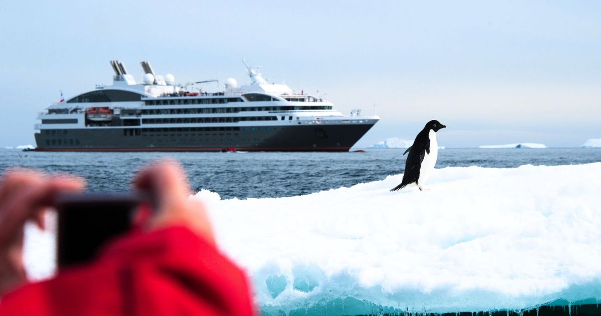 Expedition travel is booming, and some operators are rebuilding the itinerary around getting the best picture