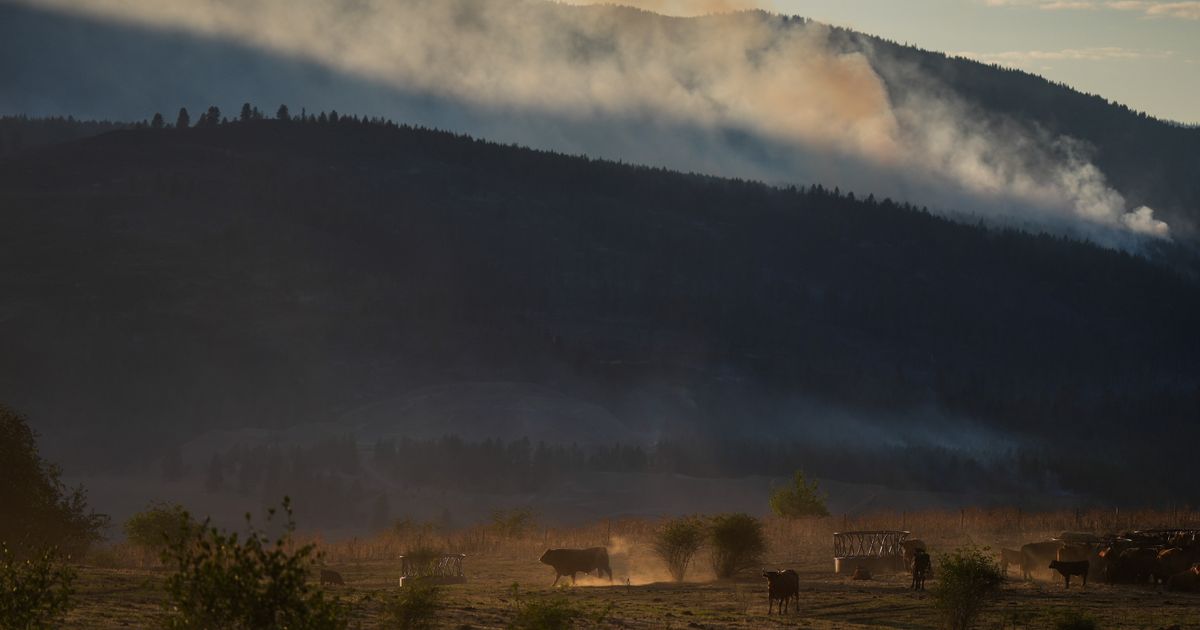 Wildfire destroys about 230 homes in western Canadian Indigenous community, officials say