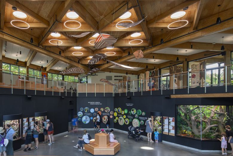 The Forest Trailhead at Woodland Park Zoo, a 12,264-square-foot mass timber pavilion designed by LMN, opened in May. The building’s structure is constructed from a cutting-edge product made in Oregon. The pavilion features tree kangaroos, red pandas, kea parrots and nearly 20 other animal species. (Lara Swimmer)