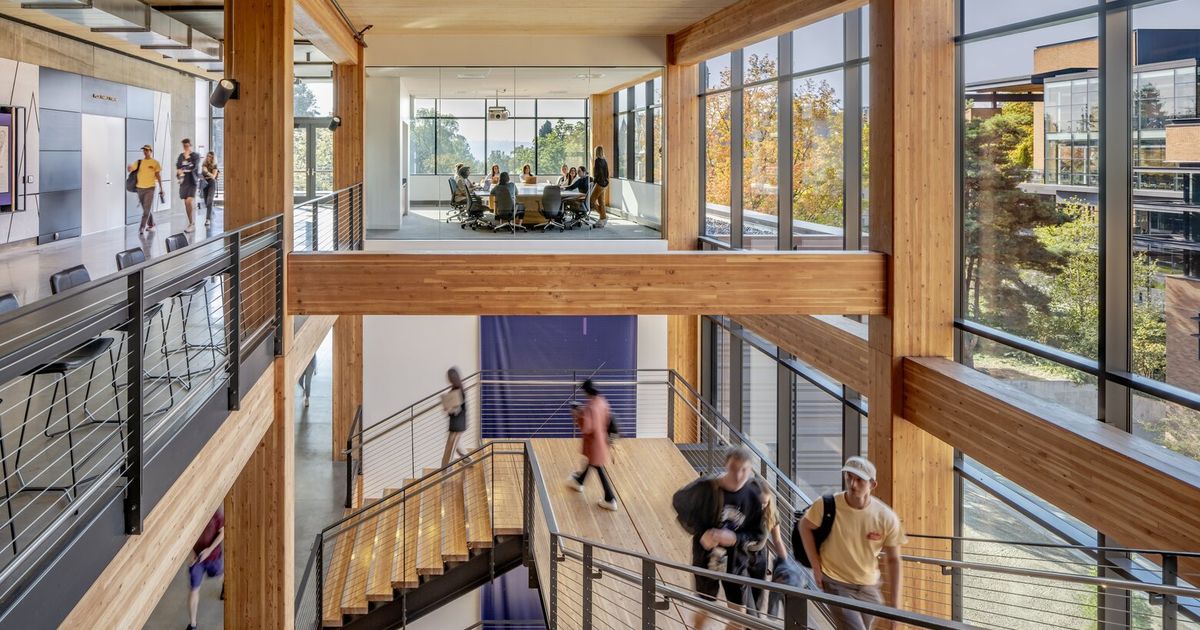 Ecological mass timber may very well be the future of architecture