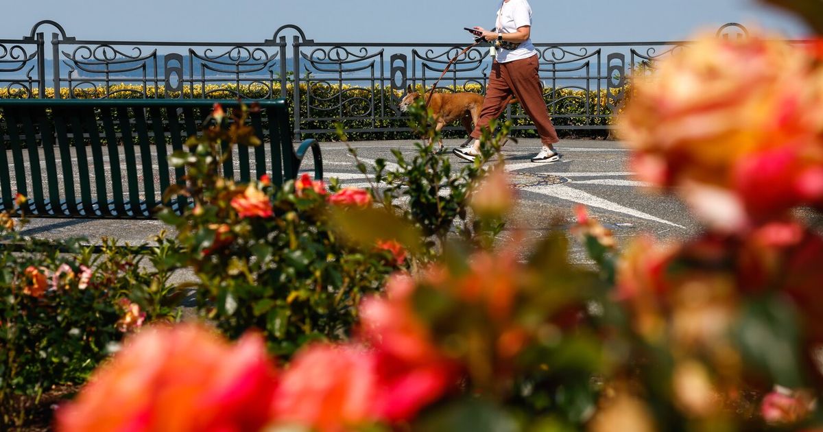 Seattle-area homebuyers say this city offers 'better end of the bargain' - The Seattle Times image