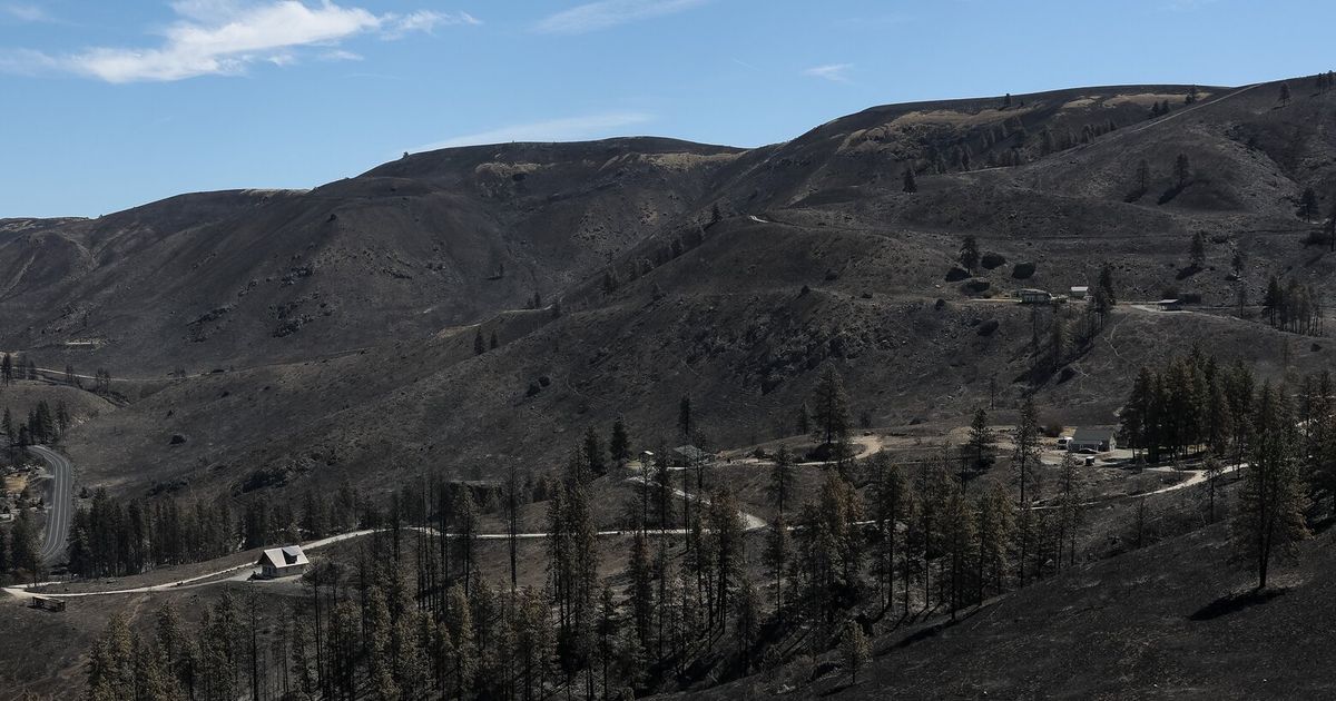 Man arrested in connection with deadly Chelan Hills fire