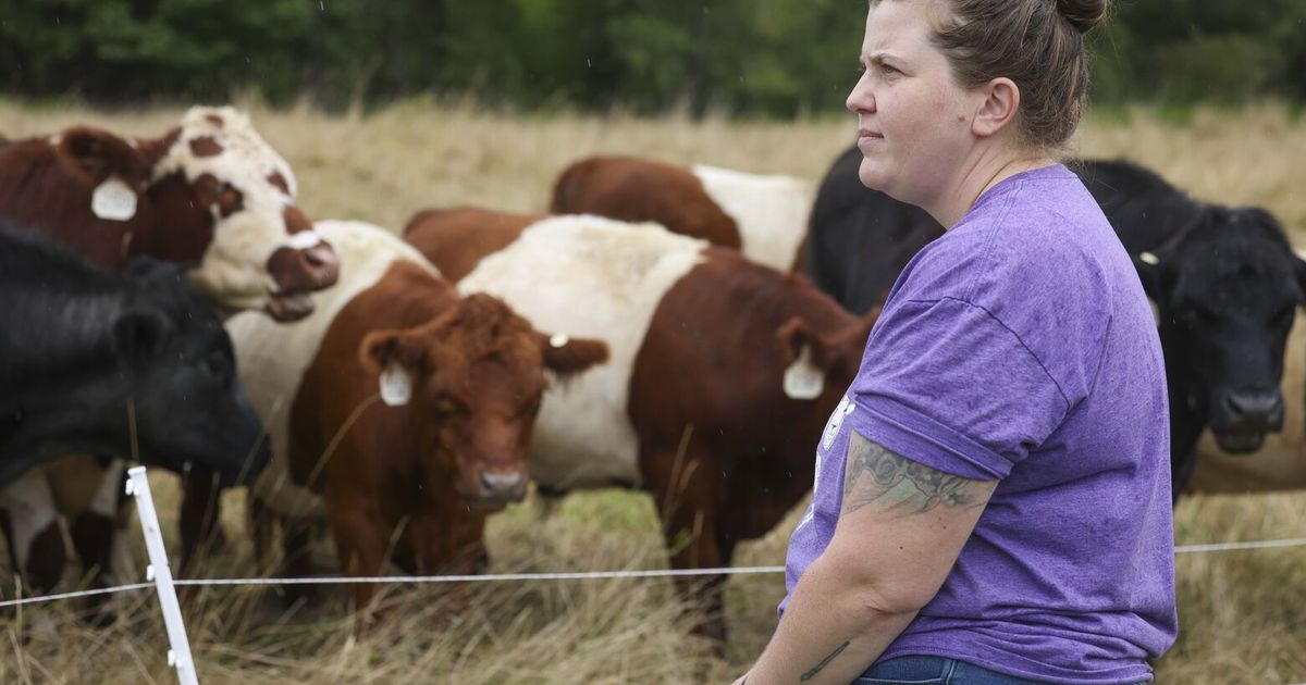 Worried about rising beef prices? WA farmers say, share a cow