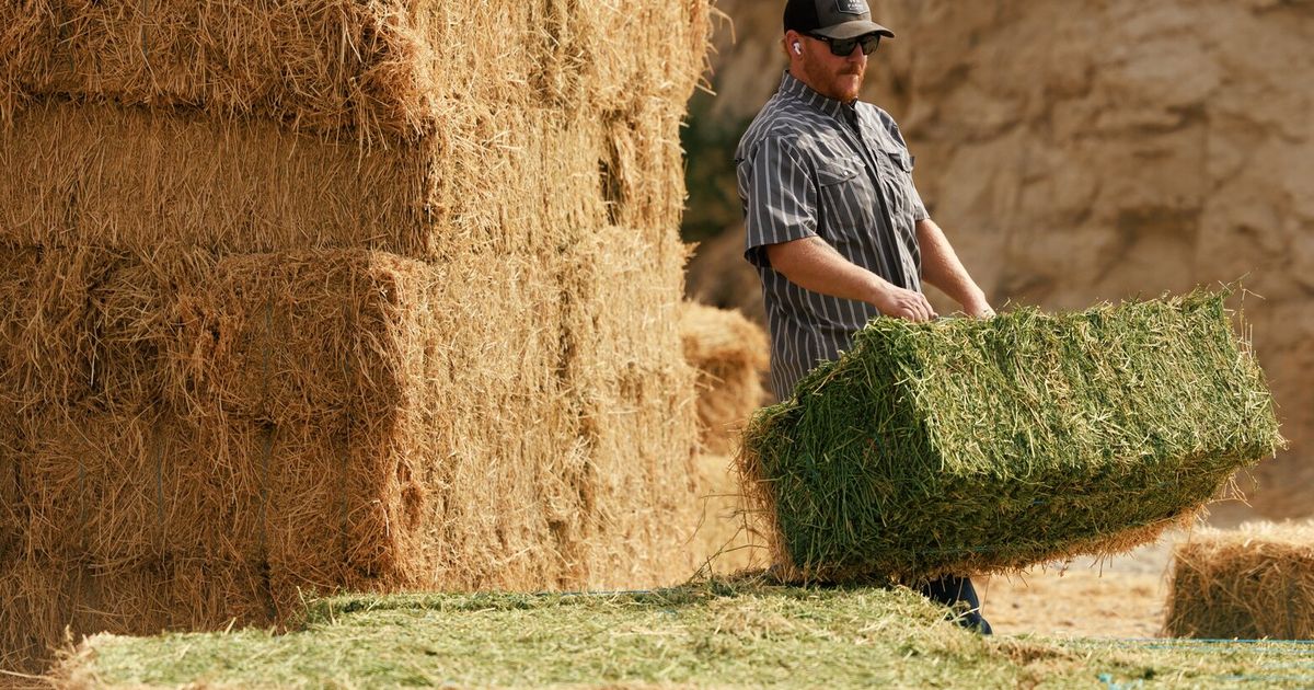 WA farmers face realities of unprecedented drought