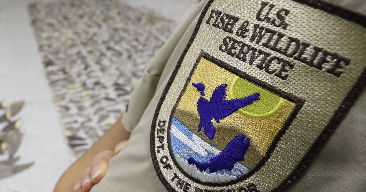U.S. Fish and Wildlife staff down 38% in WA