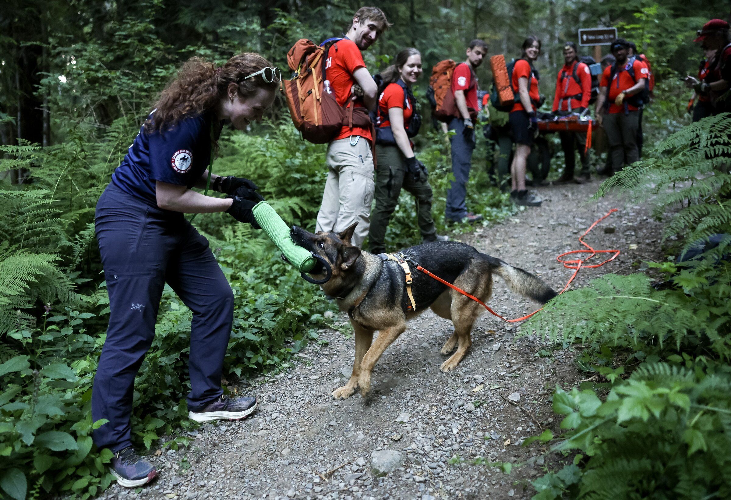 Liz Morrow celebrates after her dog, Lila, successfully located the simulated victim during a King County Explorers search-and-rescue training exercise in July near North Bend. (Nick Wagner / The Seattle Times)
