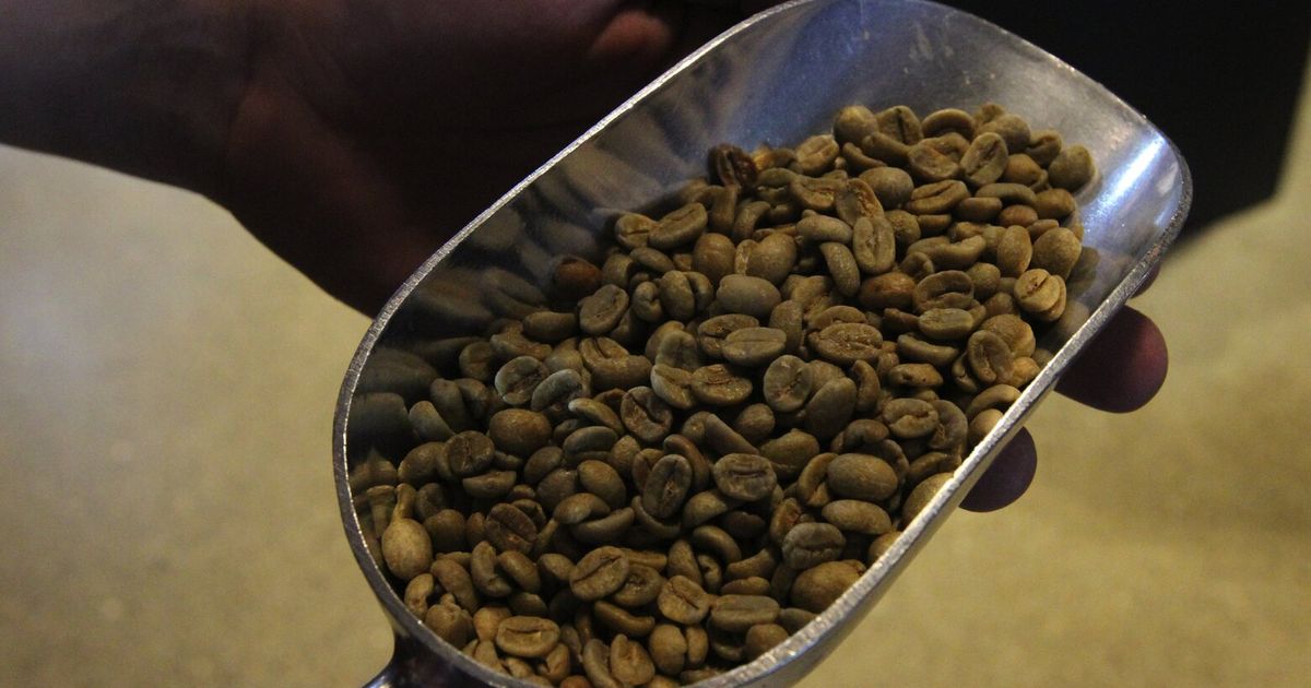 Group of bikini baristas win nearly $2M in legal battle