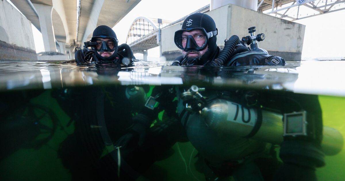 Federally protected Chinook salmon among dead fish under I-90 light rail