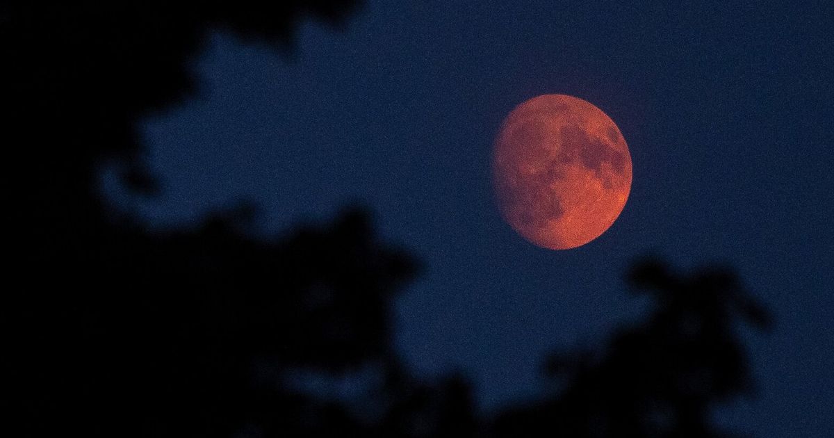 How to see the moon dance with planets over Seattle this week