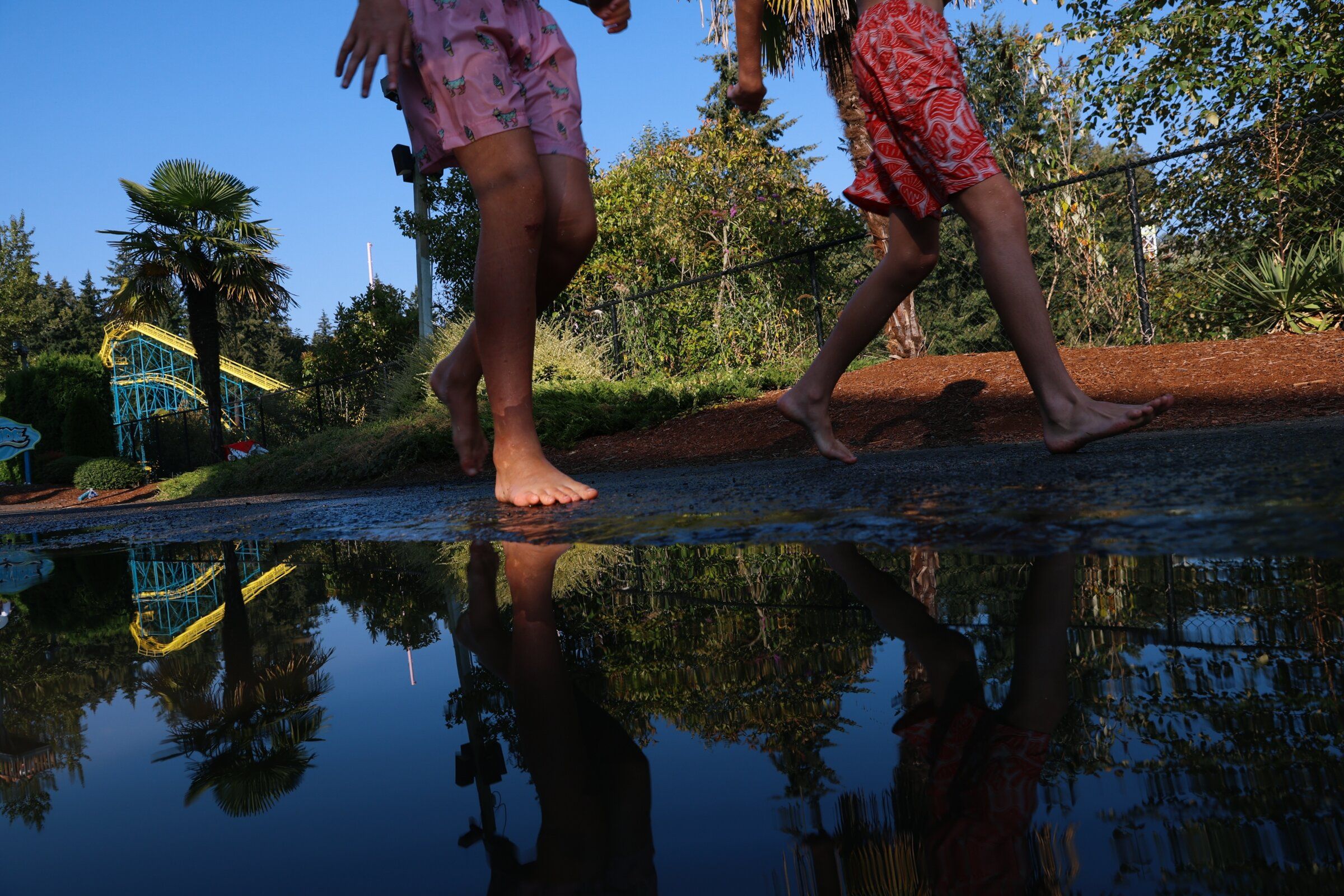 Visitors walk through Wild Waves on Aug. 18. (Genna Martin / special to The Seattle Times)