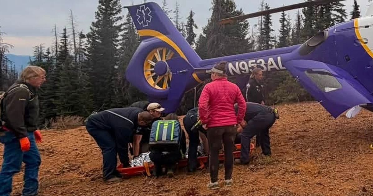 Girl, 9, airlifted after fall from Red Top Lookout trail