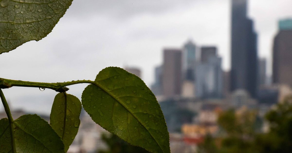Seattle weather: Rain to give way to sunshine, warmer days
