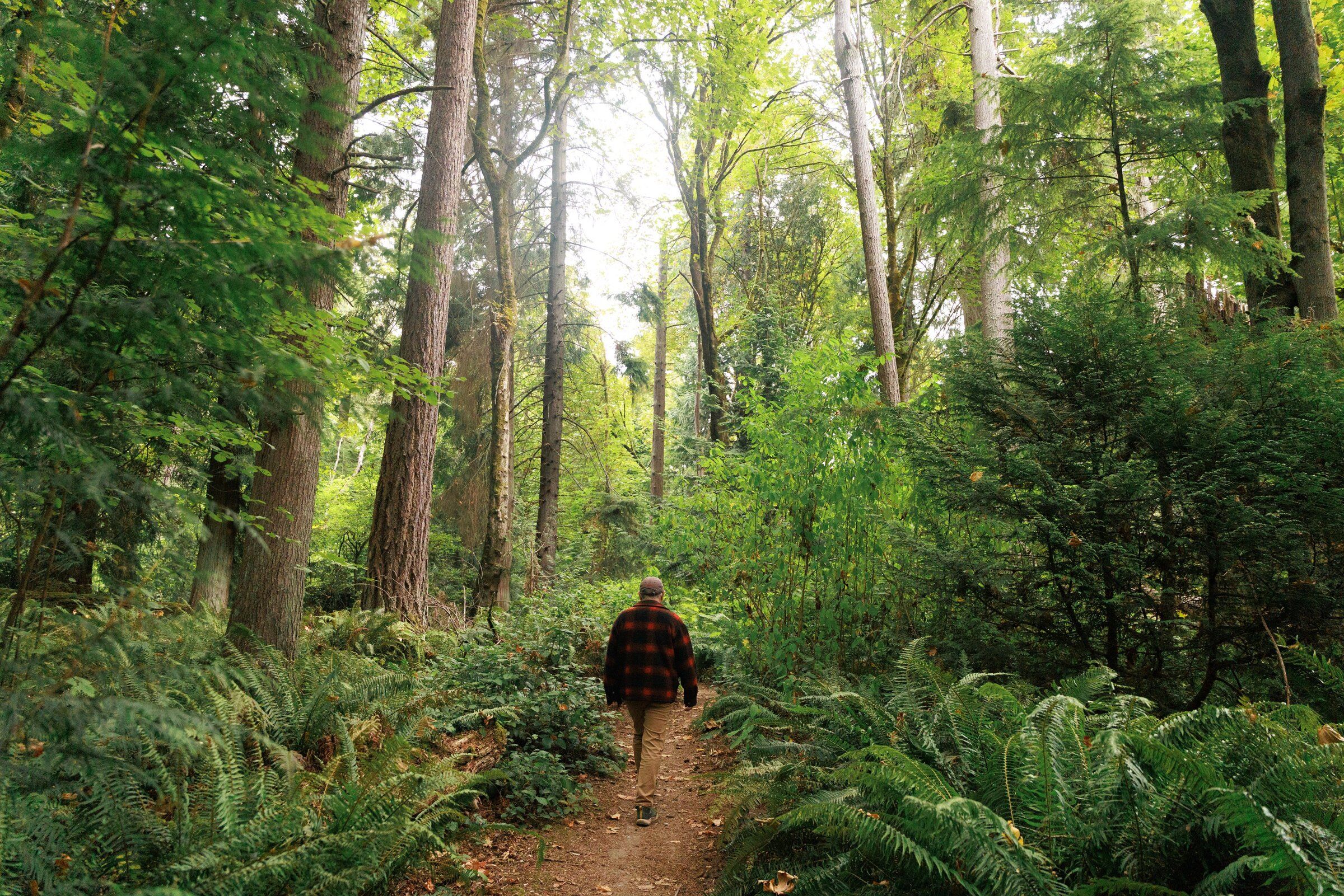Witter walks between eight stations, or stops, during the monthly September bird survey at Seward Park. (Erika Schultz / The Seattle Times)